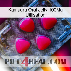 Kamagra Oral Jelly 100Mg Use 13